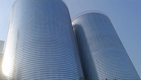 呼伦贝尔2座混凝土高架卷板仓